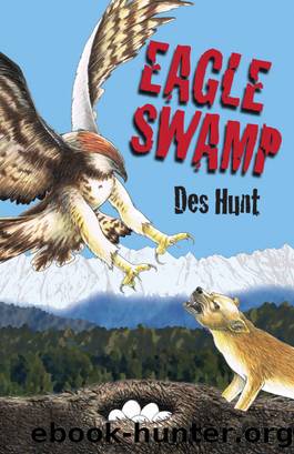 Eagle Swamp by Des Hunt