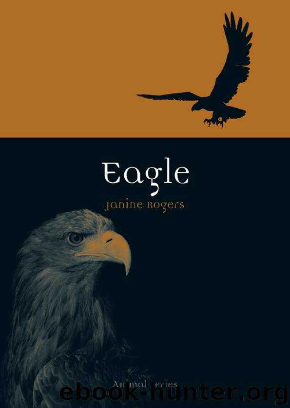 Eagle by Janine Rogers