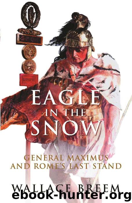 Eagle in the Snow by Breem Wallace