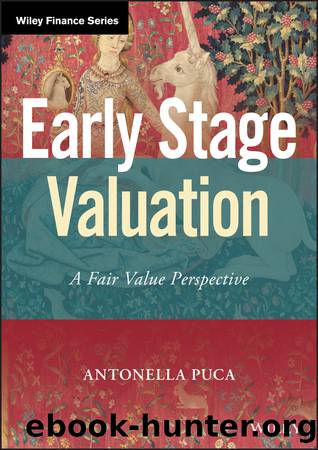 Early Stage Valuation: A Fair Value Perspective by Puca Antonella;