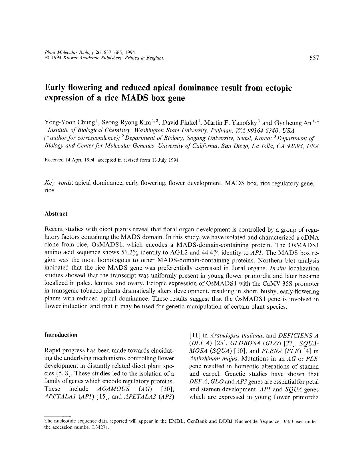 Early flowering and reduced apical dominance result from ectopic expression of a rice MADS box gene by Unknown