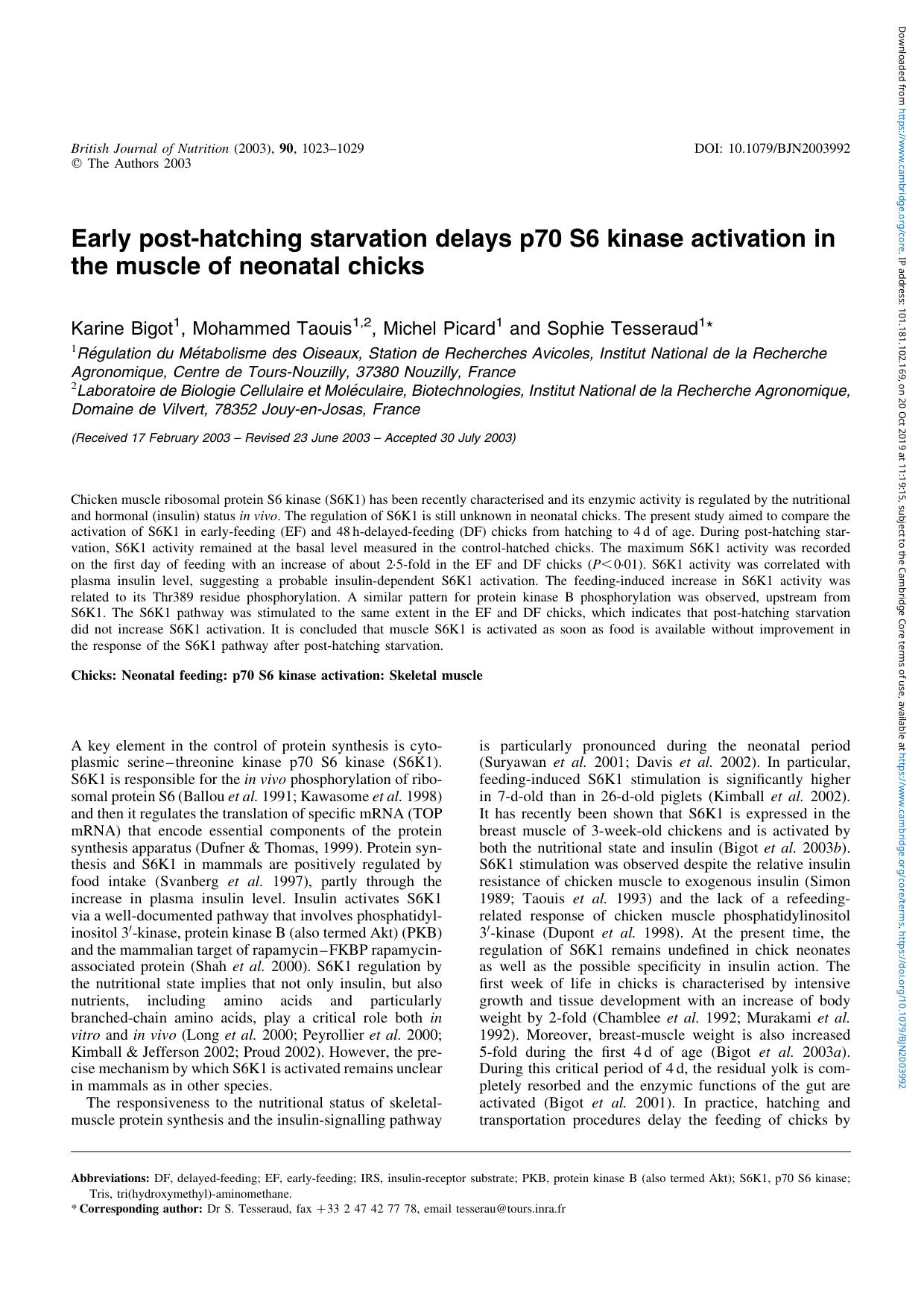 Early post-hatching starvation delays p70 S6 kinase activation in the muscle of neonatal chicks by Karine Bigot Mohammed Taouis Michel Picard Sophie Tesseraud