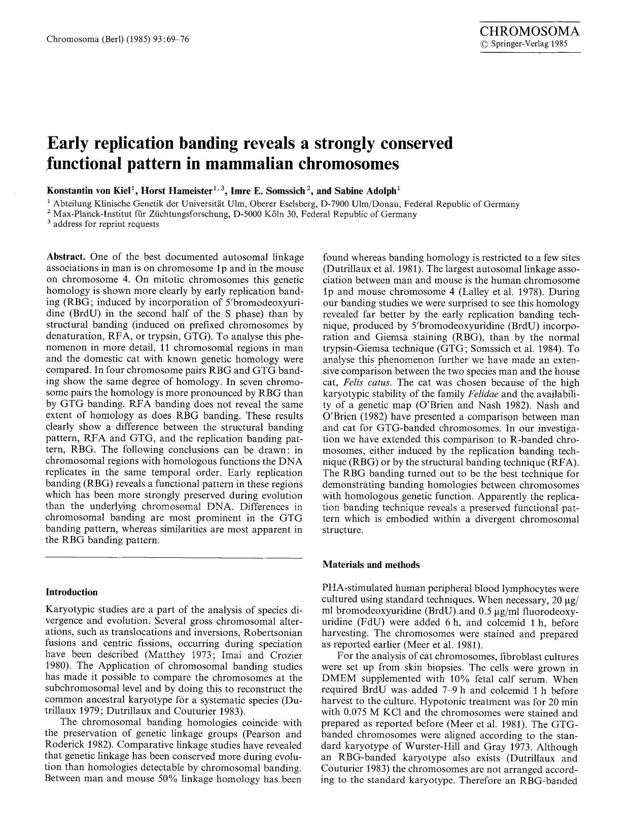 Early replication banding reveals a strongly conserved functional pattern in mammalian chromosomes by Unknown