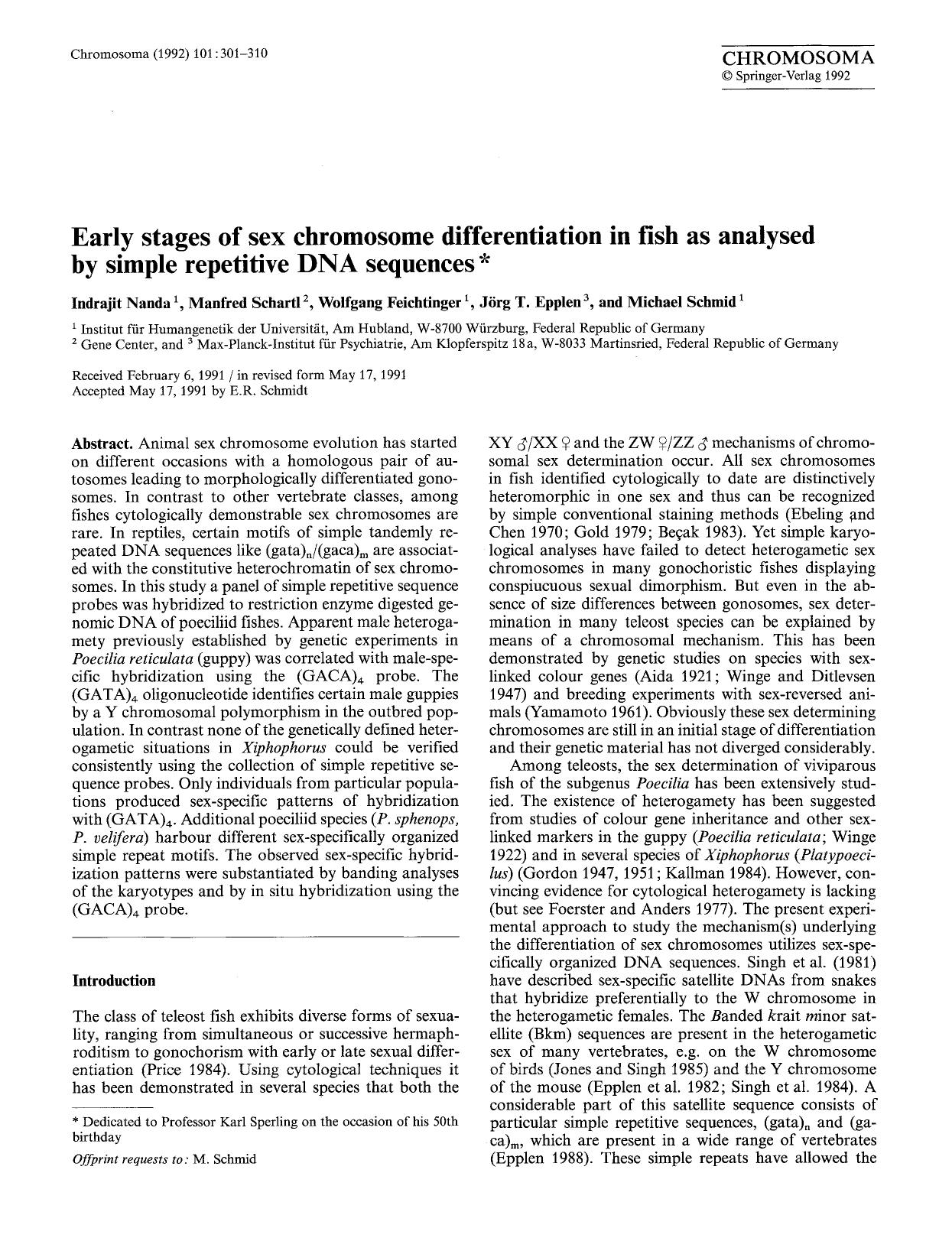 Early stages of sex chromosome differentiation in fish as analysed by simple repetitive DNA sequences by Unknown