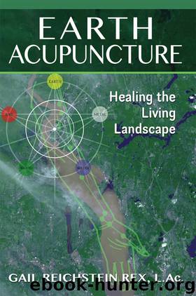 Earth Acupuncture by Gail Reichstein Rex