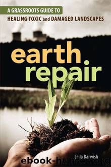Earth Repair by Leila Darwish