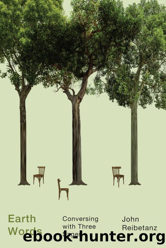 Earth Words by John Reibetanz