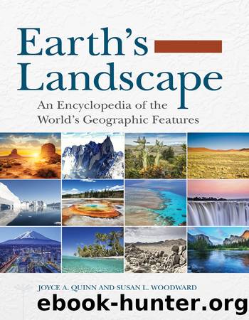 Earth's Landscape by Joyce A. Quinn & SUSAN L. WOODWARD
