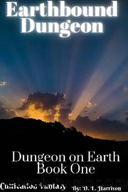 Earthbound Dungeon: Dungeon on Earth: Book One by D. L. Harrison