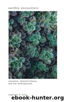 Earthly Encounters by Stephanie D. Clare