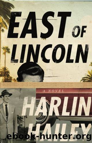 East of Lincoln by Harlin Hailey