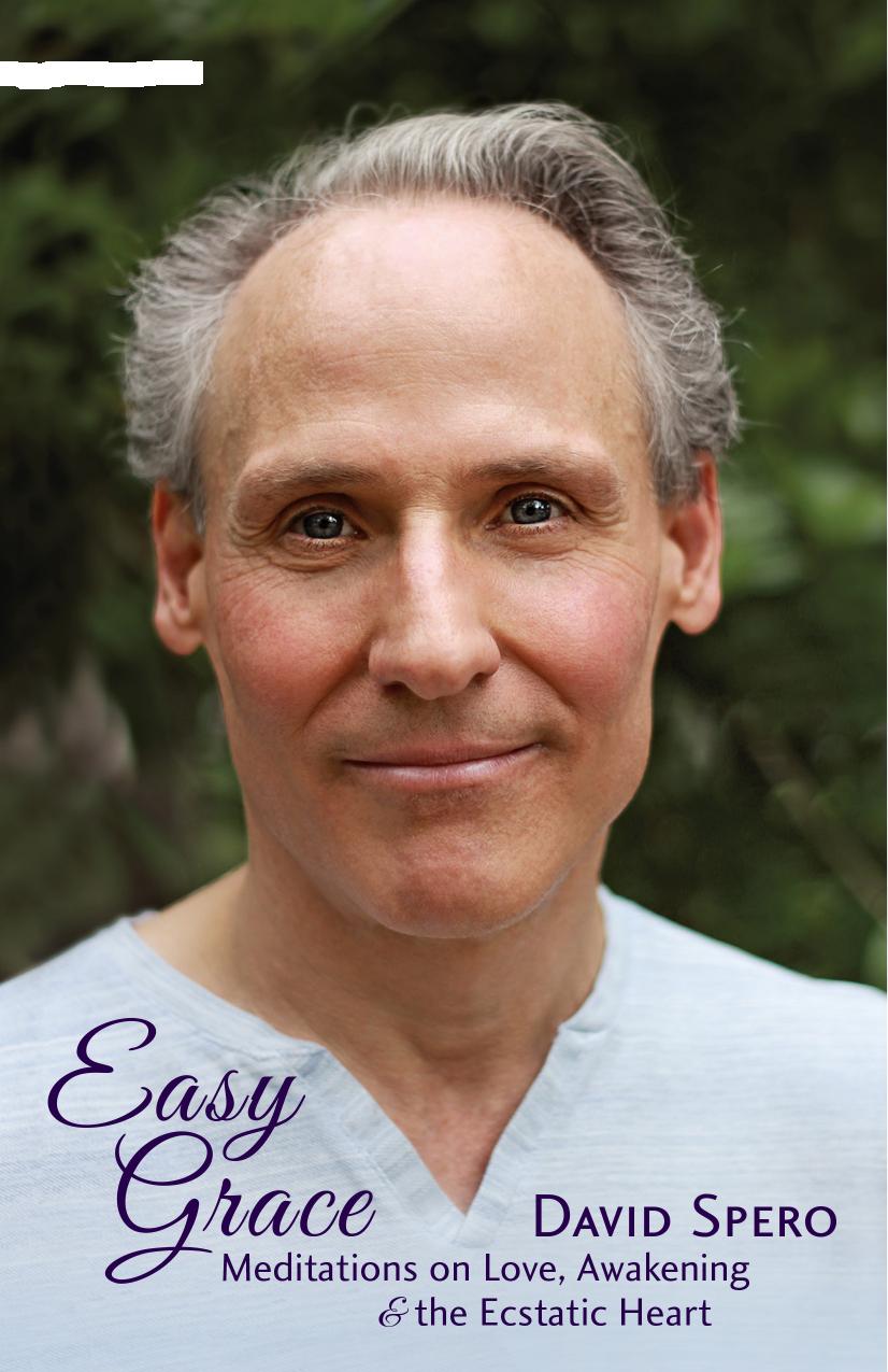 Easy grace -meditations on the ecstatic heart by David spero