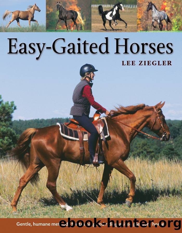 Easy-Gaited Horses by Lee Ziegler