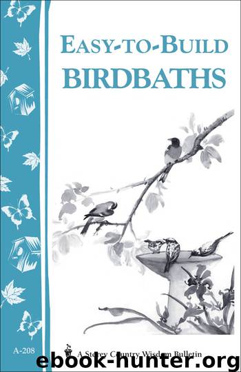 Easy-to-Build Birdbaths by Mary Twitchell