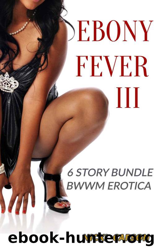 Ebony Fever III: BWWM 6 Story Interracial Older Man Younger Woman Bundle by Nicki Carson