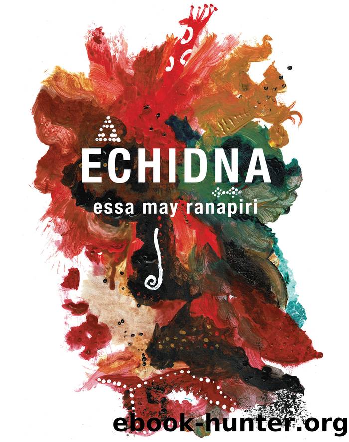 Echidna by essa may ramipiri