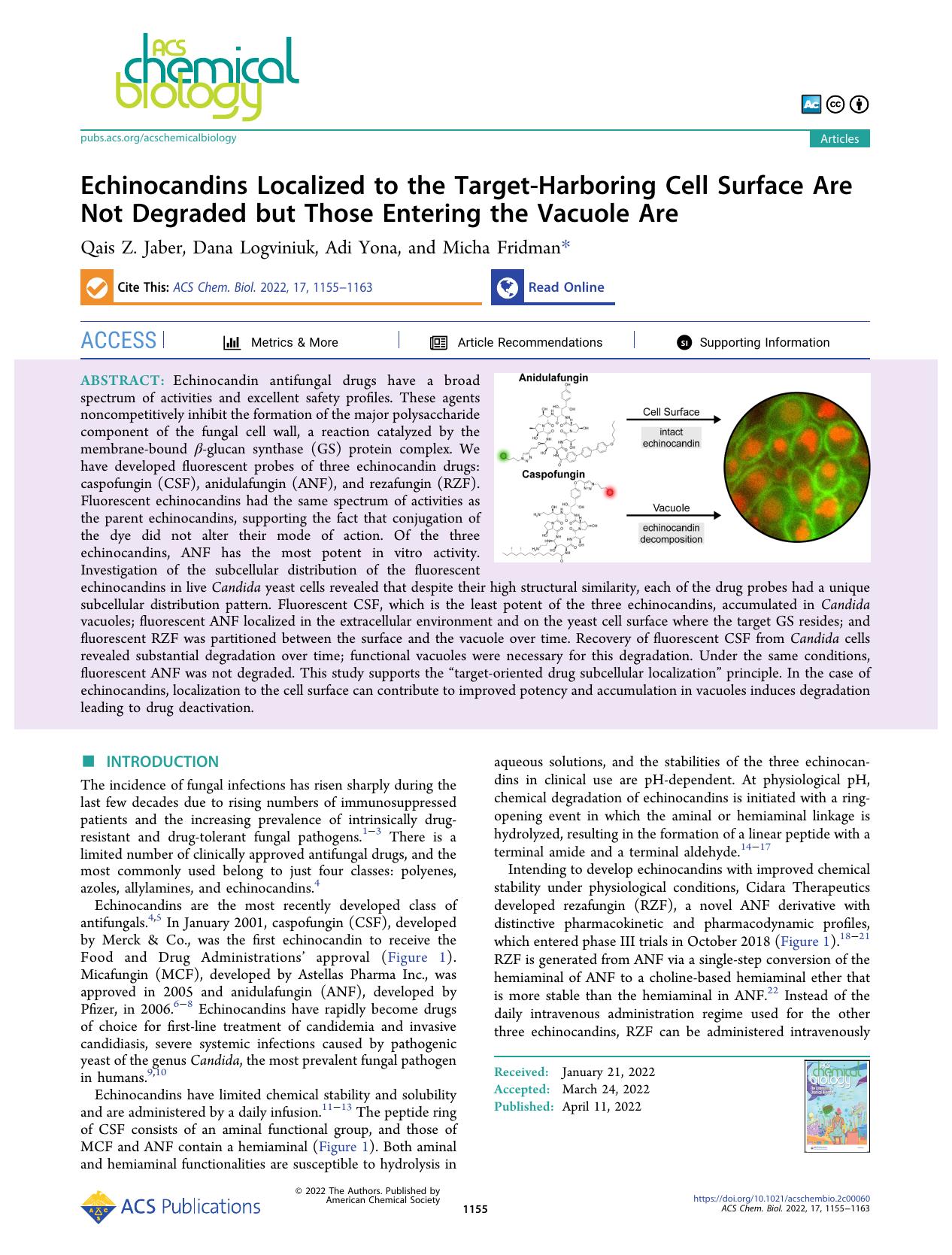 Echinocandins Localized to the Target-Harboring Cell Surface Are Not Degraded but Those Entering the Vacuole Are by Qais Z. Jaber Dana Logviniuk Adi Yona and Micha Fridman