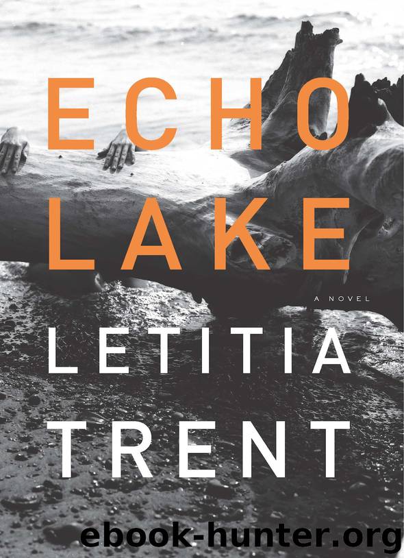 Echo Lake by Letitia Trent