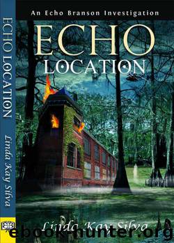 Echo Location by Linda Kay Silva