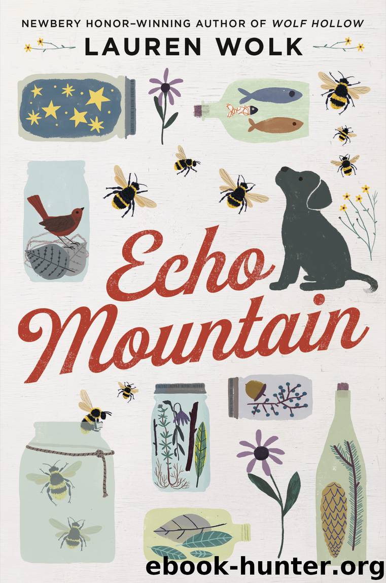 Echo Mountain by Lauren Wolk