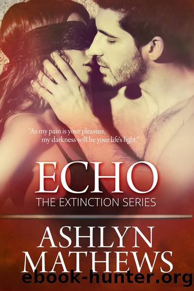 Echo by Ashlyn Mathews