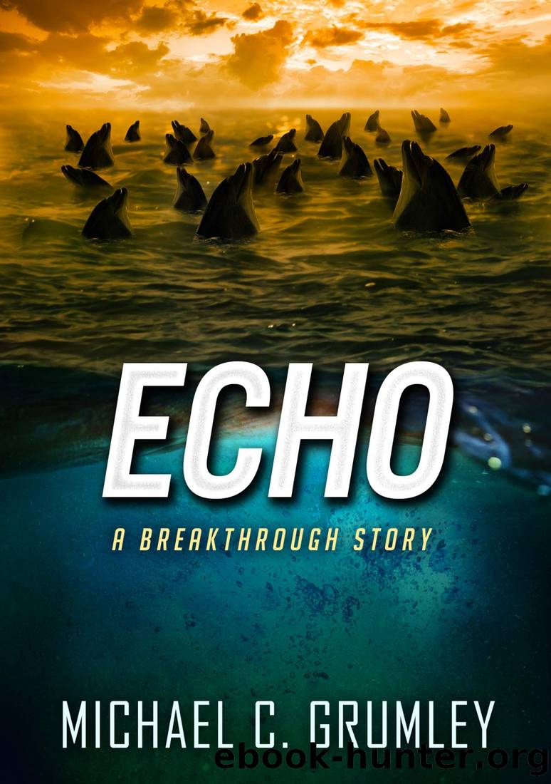 Echo by Grumley Michael C