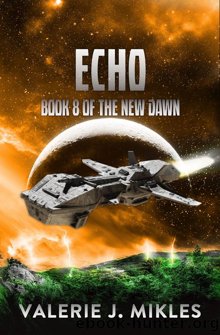 Echo by Valerie J Mikles
