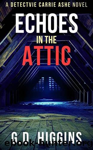 Echoes In The Attic (Detective Carrie Ashe Crime Thrillers Book 1) by G.D. Higgins