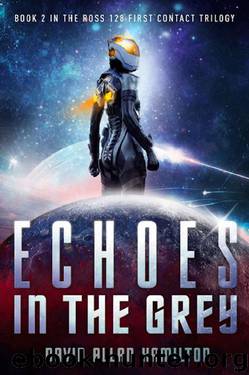 Echoes In The Grey by David Allan Hamilton