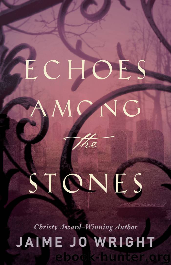 Echoes among the Stones by Jaime Jo Wright