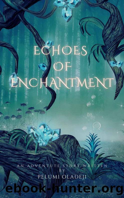 Echoes of Enchantment: The Journey of Seraphina and Orion by Pelumi Oladeji
