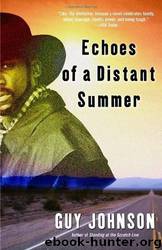 Echoes of a Distant Summer by Guy Johnson
