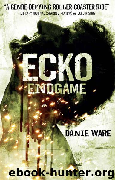 Ecko Endgame by Ware Danie