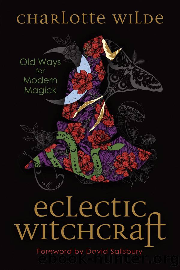 Eclectic Witchcraft by Charlotte Wilde
