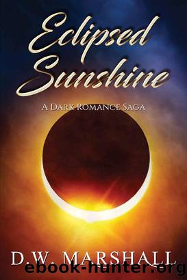 Eclipsed Sunshine by D W Marshall