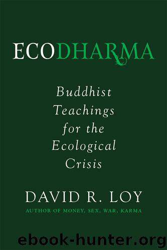 Ecodharma by David Loy