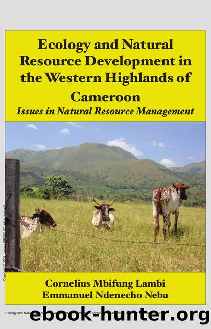 Ecology and Natural Resource Development in the Western Highlands of Cameroon. Issues in Natural Resource Management : Issues in Natural Resource Management by Mbifung Lambi; Ndenecho Neba