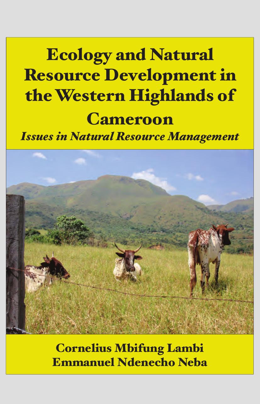 Ecology and Natural Resource Development in the Western Highlands of Cameroon. Issues in Natural Resource Management: Issues in Natural Resource Management by Cornelius Mbifung Lambi Emmanuel Ndenecho Neba