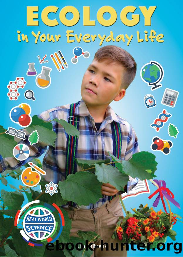Ecology in Your Everyday Life by Lisa Idzikowski
