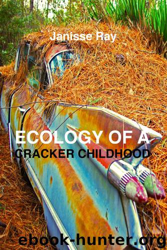 Ecology of a Cracker Childhood by Janisse Ray