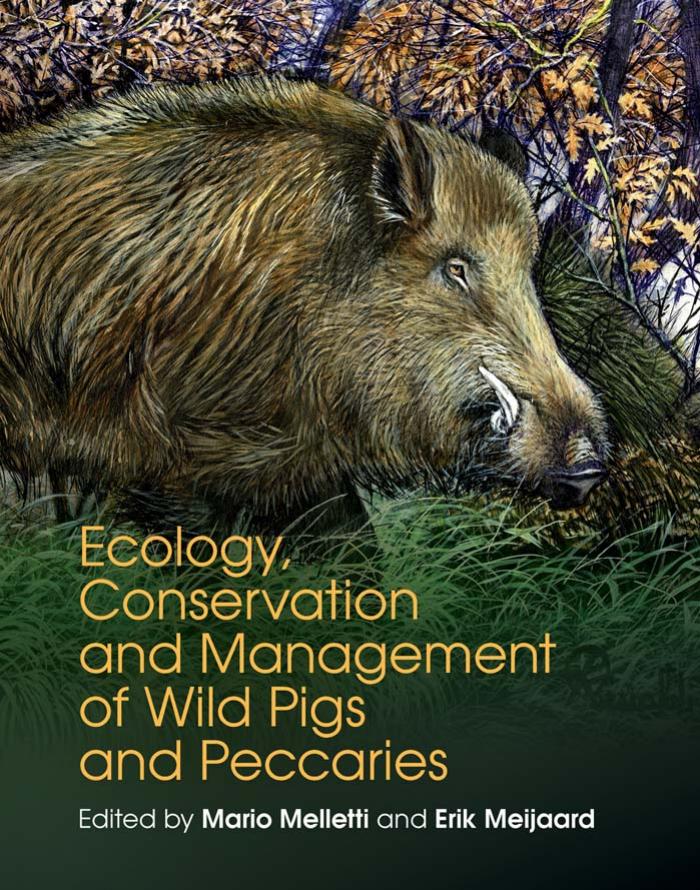 Ecology, Conservation and Management of Wild Pigs and Peccaries by Mario Melletti and Erik Meijaard