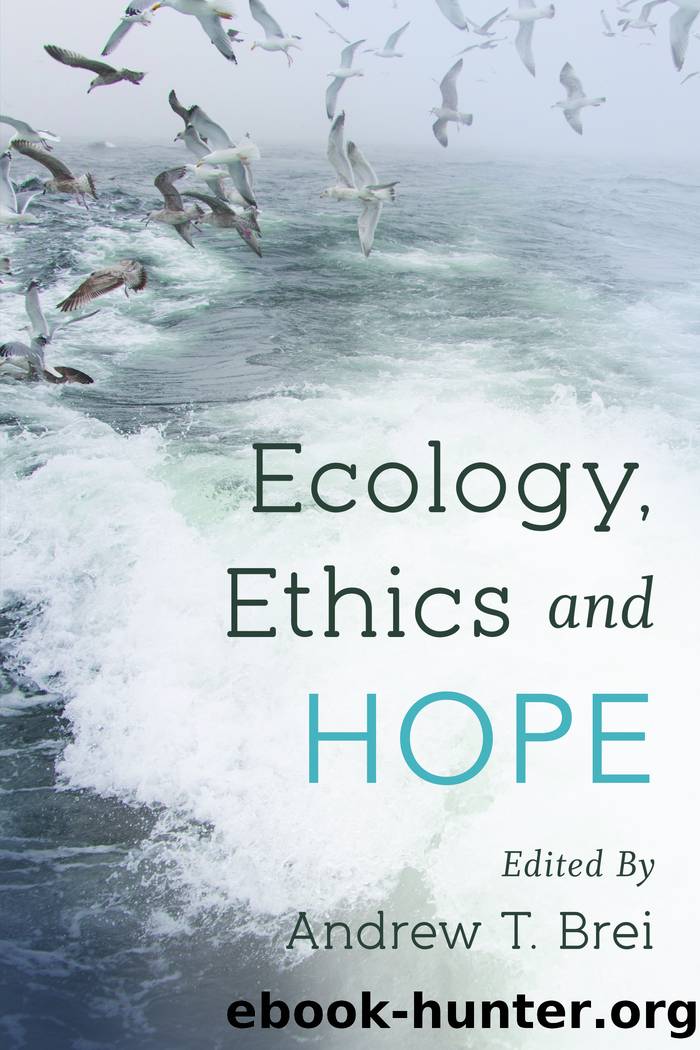 Ecology, Ethics and Hope by Brei Andrew T.;