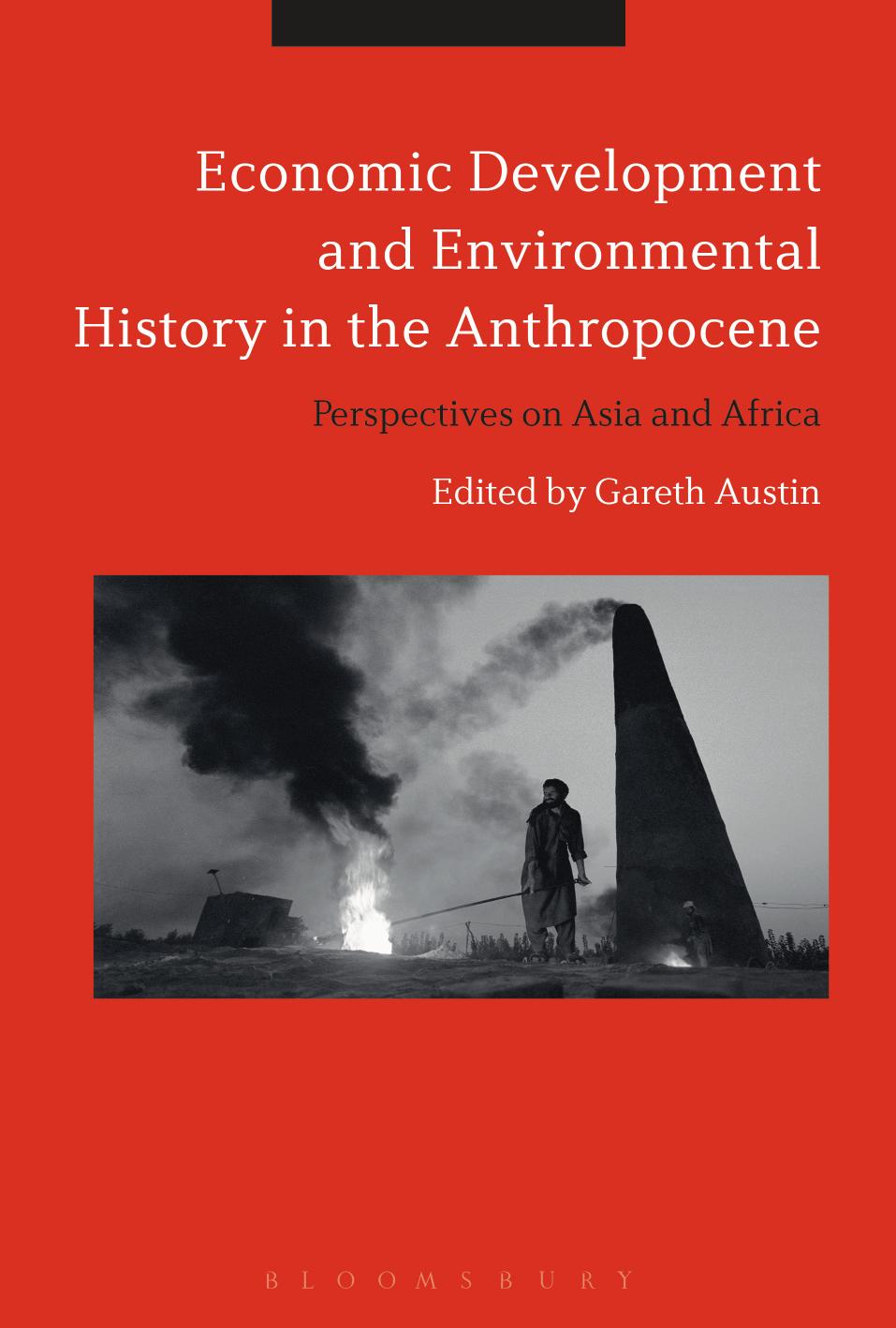 Economic Development and Environmental History in the Anthropocene: Perspectives on Asia and Africa by Gareth Austin (editor)