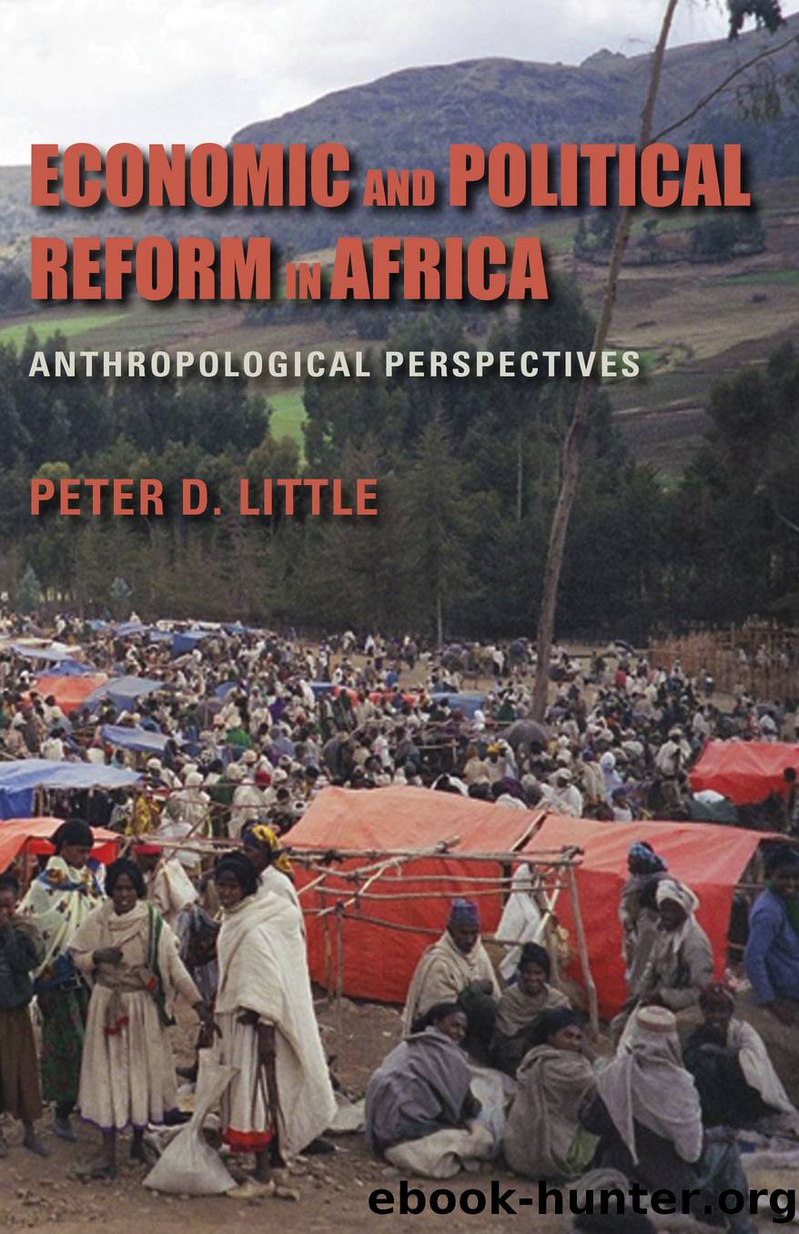 Economic and Political Reform in Africa by Peter D. Little
