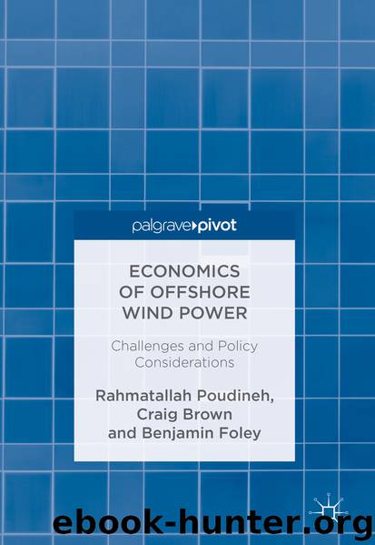 Economics of Offshore Wind Power by Rahmatallah Poudineh Craig Brown & Benjamin Foley