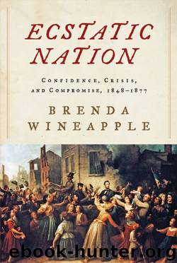 Ecstatic Nation by Brenda Wineapple