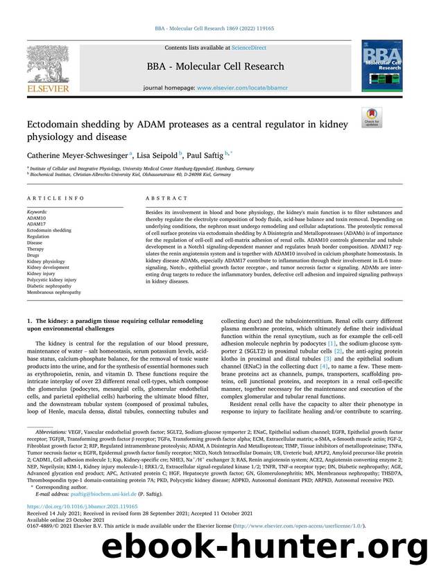 Ectodomain shedding by ADAM proteases as a central regulator in kidney physiology and disease by Catherine Meyer-Schwesinger & Lisa Seipold & Paul Saftig