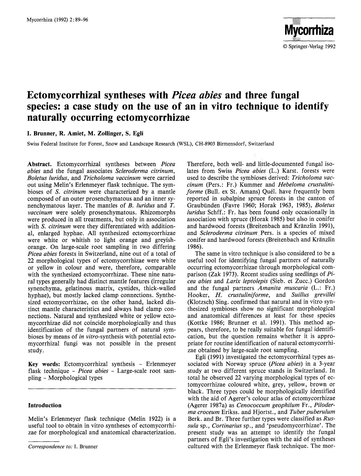 Ectomycorrhizal syntheses with Picea abies and three fungal species: a case study on the use of an in vitro technique to identify naturally occurring ectomycorrhizae by Unknown