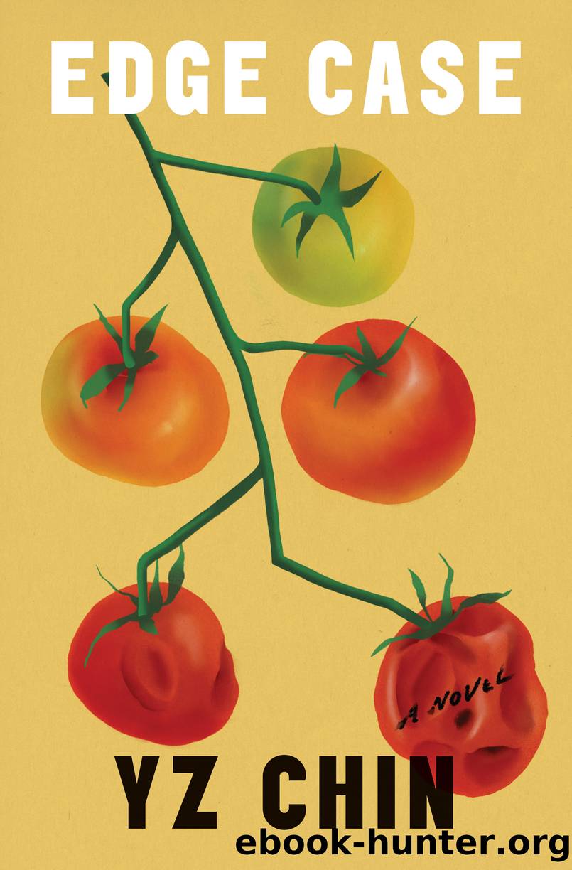 Edge Case by YZ Chin