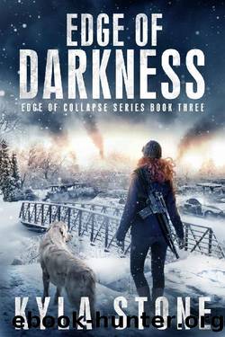Edge of Darkness: A Post-Apocalyptic EMP Survival Thriller (Edge of Collapse Book 3) by Kyla Stone